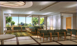 Commercial Renderings